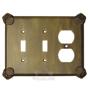 Oceanus Switchplate Combo Duplex Outlet Double Toggle Switchplate in Bronze with Verde Wash