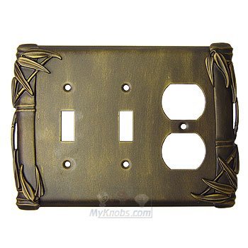 Bamboo Switchplate Combo Duplex Outlet Double Toggle Switchplate in Pewter with Verde Wash