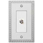 Single Cable Wallplate in Frosted Chrome