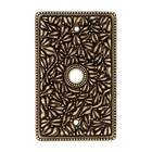 Single Cable Jumbo Switchplate in Antique Brass