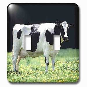 Jazzy Wallplates - Wallplate With Holstein Cow