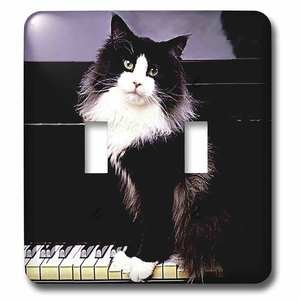 Jazzy Wallplates - Wallplate With Tuxedo Cat