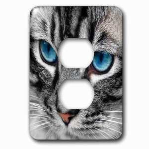Jazzy Wallplates - Switch Plate With Silver Tabby Cat Face With Blue Eyes.