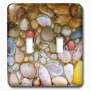 Jazzy Wallplates - Wallplate with Seashells photography colorful sea shells pattern sea ocean seaside nautical beach feel decor