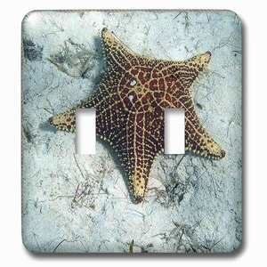 Jazzy Wallplates - Wallplate with Underwater Starfish With Nautical Rope Frame