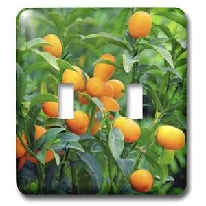 Jazzy Wallplates - Wallplate With Kumquat Fruit Tree