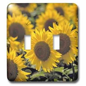 Jazzy Wallplates - Wallplate With Sunflowers In Cass County