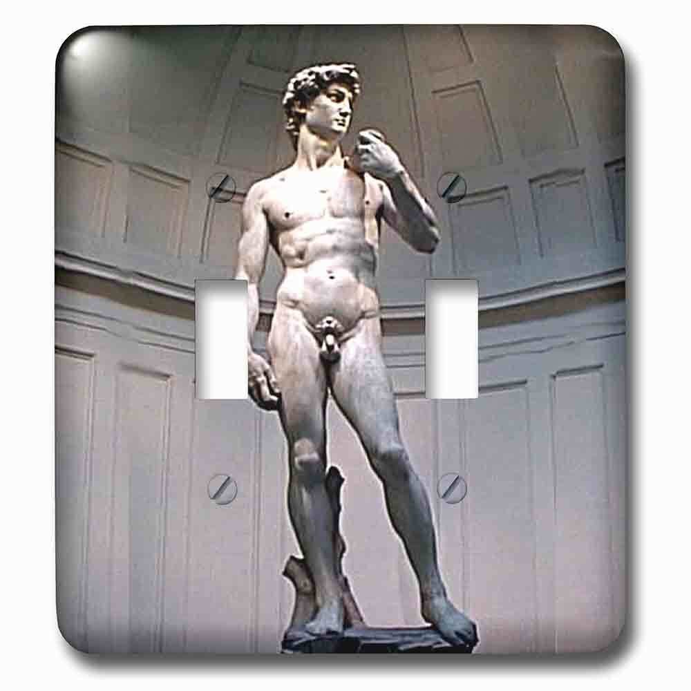 Double Toggle Wallplate With Michaelangelos David Statue