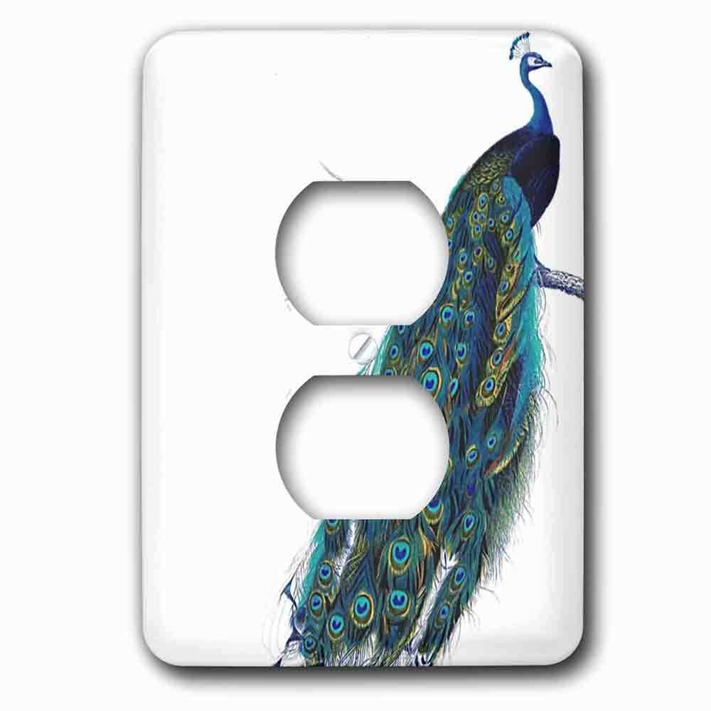 Single Duplex Outlet With Vintage Peacock Art Blue And Green Elegant Stylish Bird On Branch Beautiful Tail Feathers White