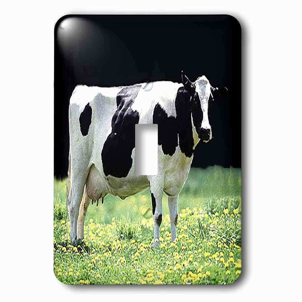 Single Toggle Wallplate With Holstein Cow