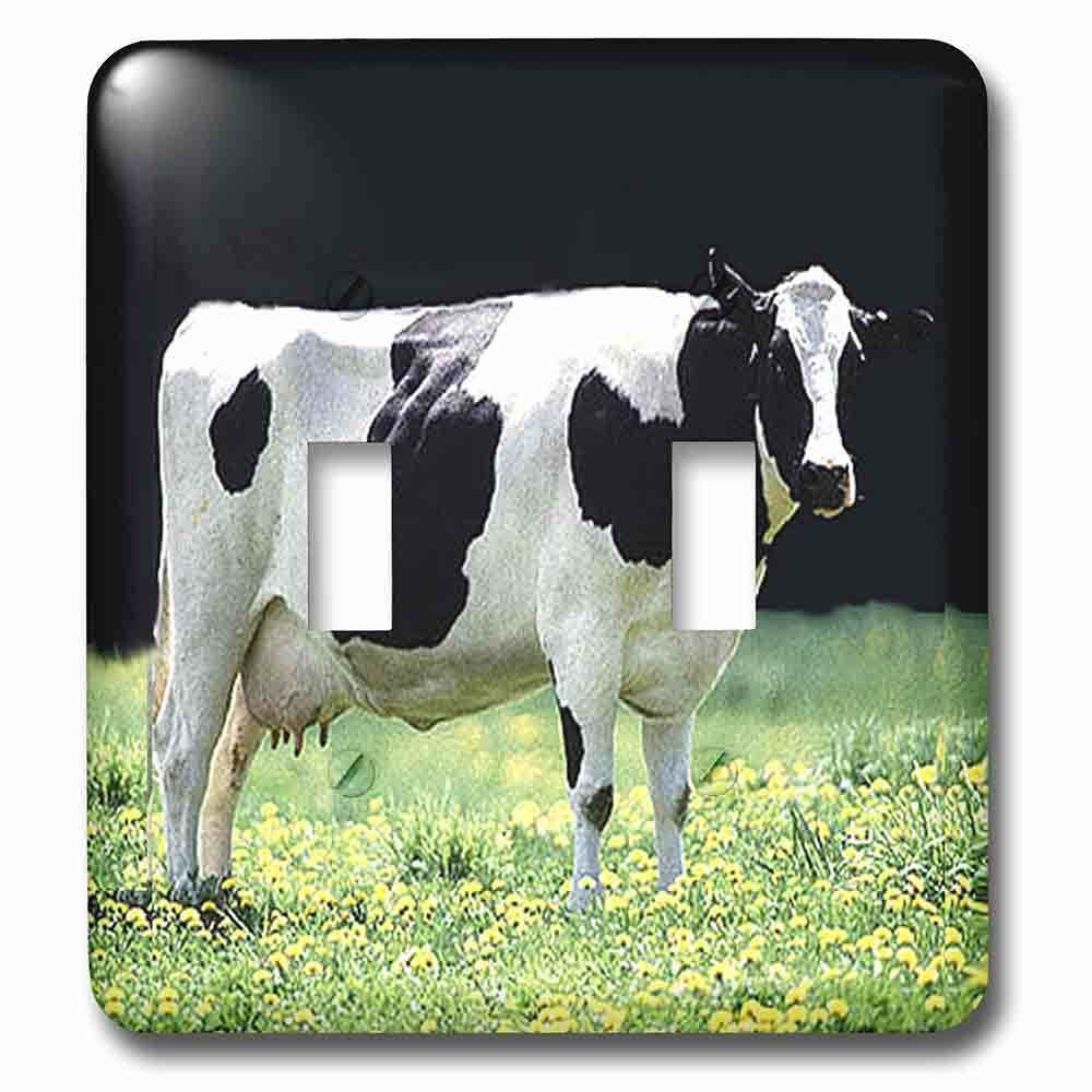 Double Toggle Wallplate With Holstein Cow