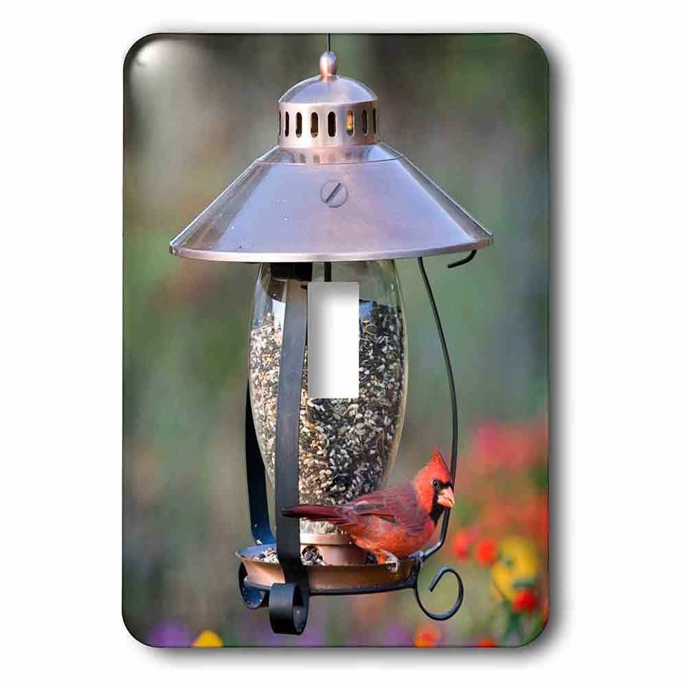 Single Toggle Wall Plate With Northern Cardinal On Copper Lantern Hopper Bird Feeder