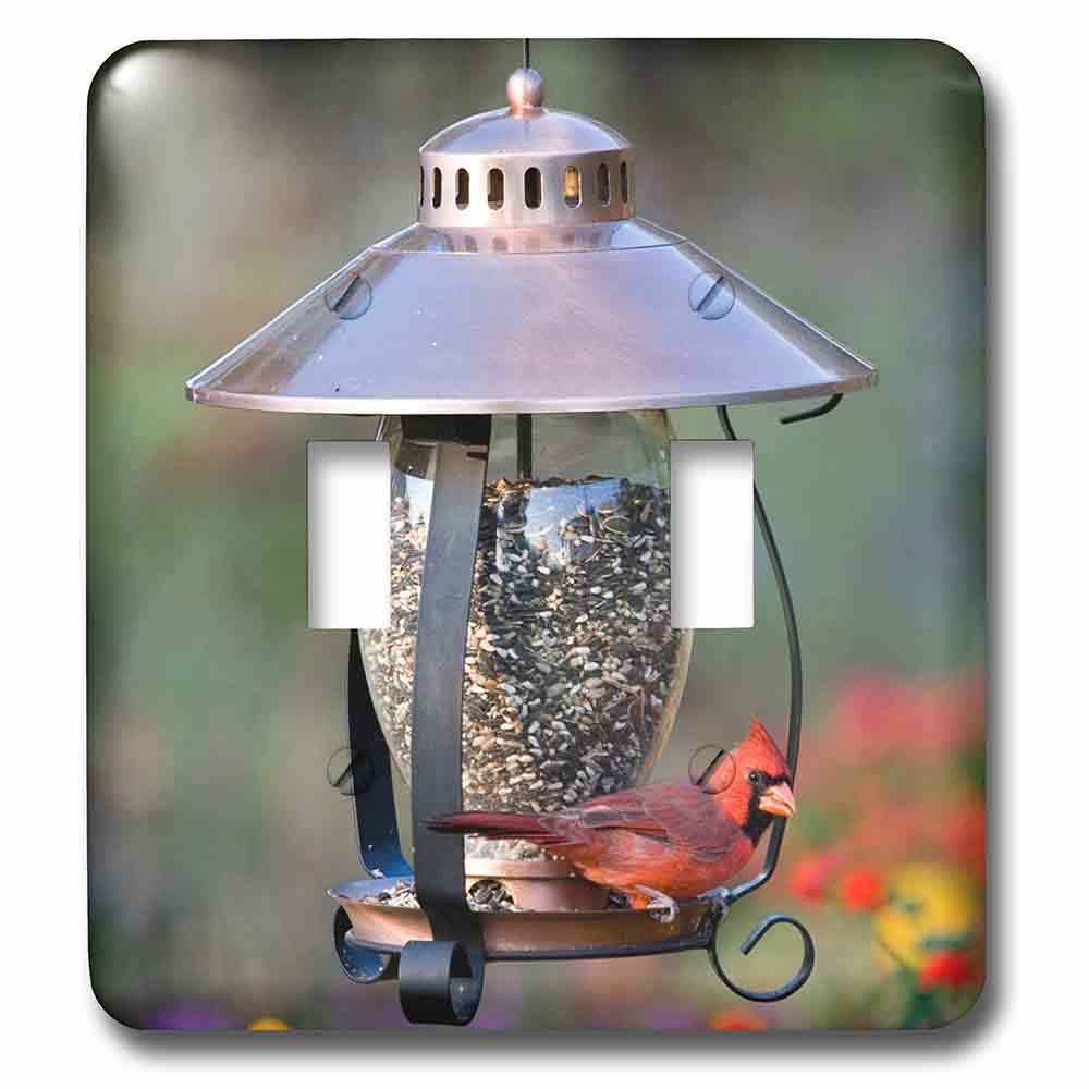 Double Toggle Wall Plate With Northern Cardinal On Copper Lantern Hopper Bird Feeder