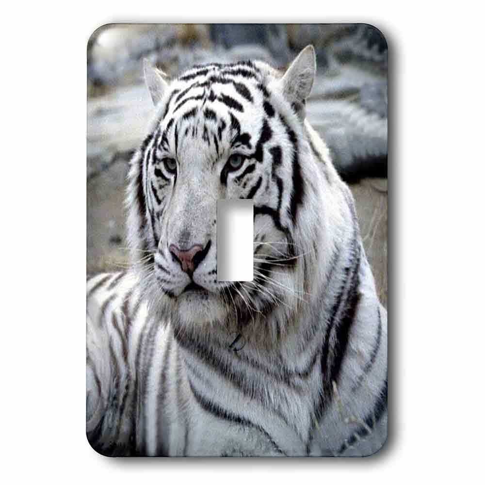 Single Toggle Wallplate With White Tiger