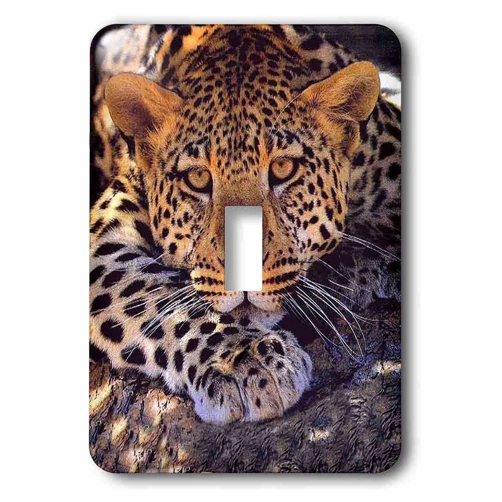 Single Toggle Wallplate With Leopard