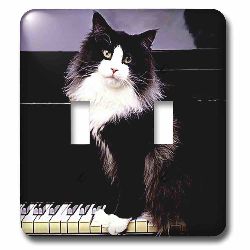 Double Toggle Wallplate With Tuxedo Cat ( lsp_575_2 ) from Animals  Collection by Jazzy Wallplates | Just Switchplates
