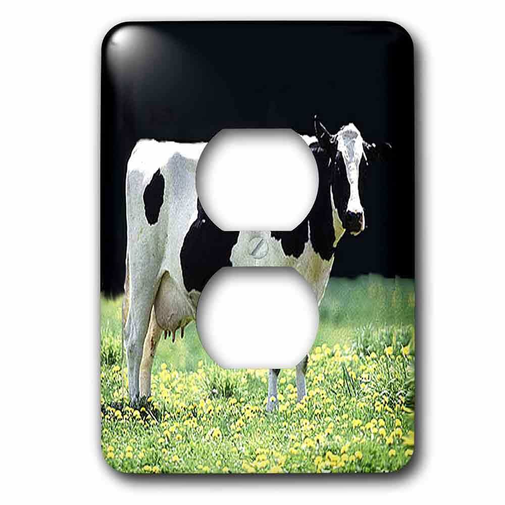 Single Duplex Wallplate With Holstein Cow