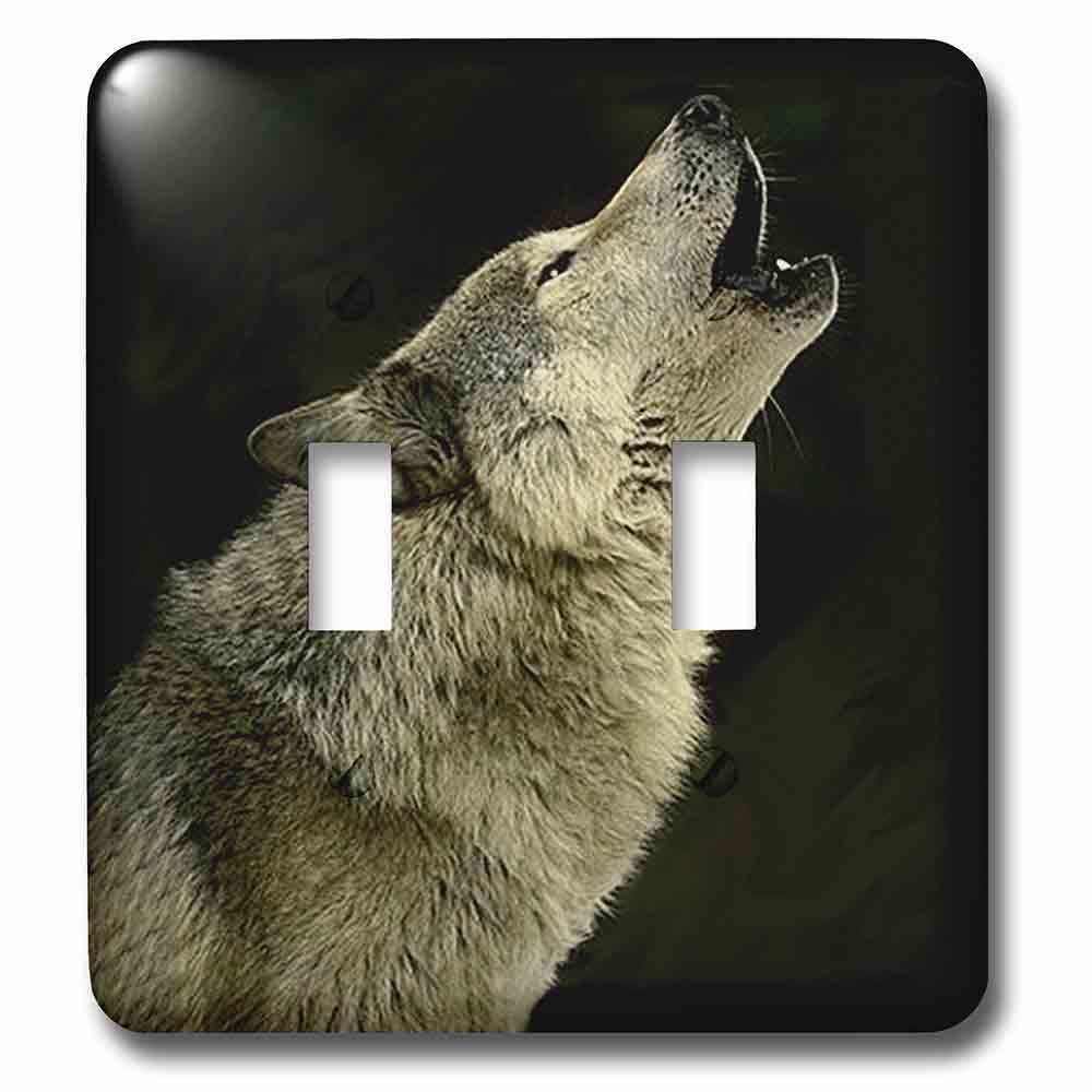 Double Toggle Wallplate With Timber Wolf