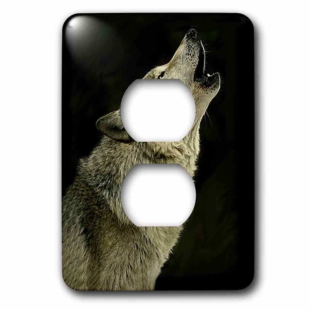Single Duplex Wallplate With Timber Wolf