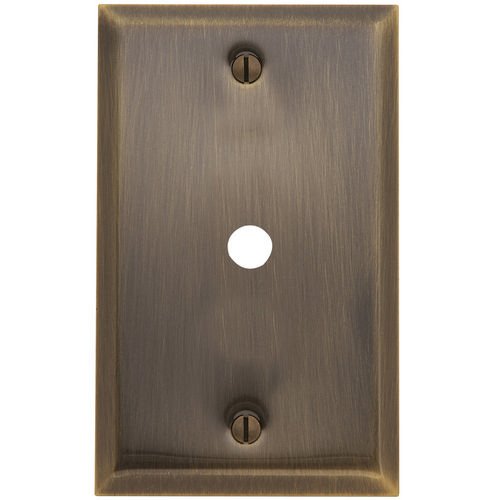 Single Cable Cover Beveled Edge Switchplate in Satin Brass & Black