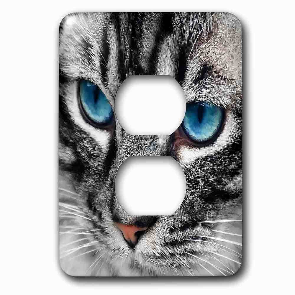 Single Duplex Outlet With Beautiful Close Up Silver Tabby Cat Face With Gorgeous Blue Eyes.