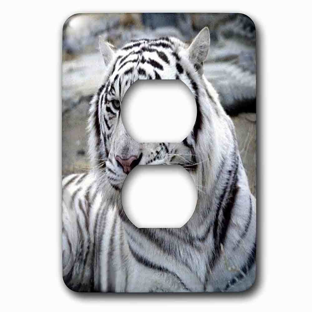 Single Duplex Outlet With White Tiger