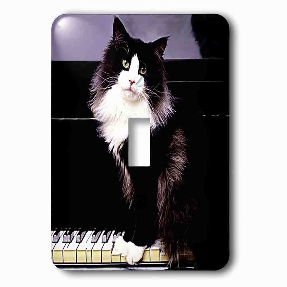 Single Toggle Wallplate With Tuxedo Cat