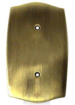 Colonial Single Blank Switchplate in Antique Brass