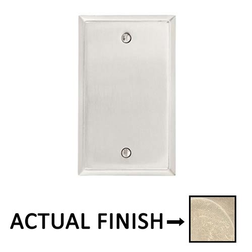 Single Blank Colonial Wallplate in Tumbled White Bronze