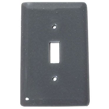 Single Toggle Glass Switchplate in Deco Gray