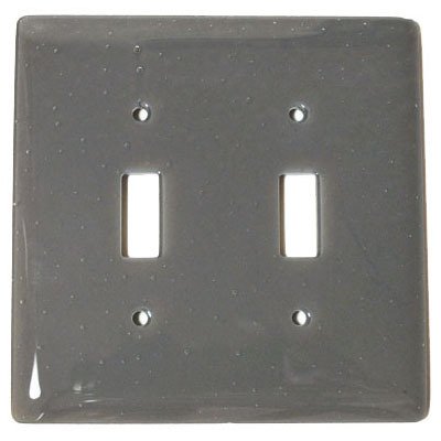 Double Toggle Glass Switchplate in Deco Gray