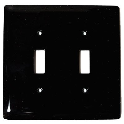 Double Toggle Glass Switchplate in Black