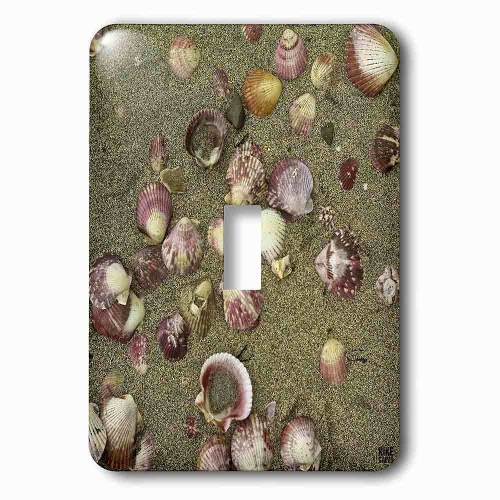 Single Toggle Wallplate With Sea Shells On The Sand