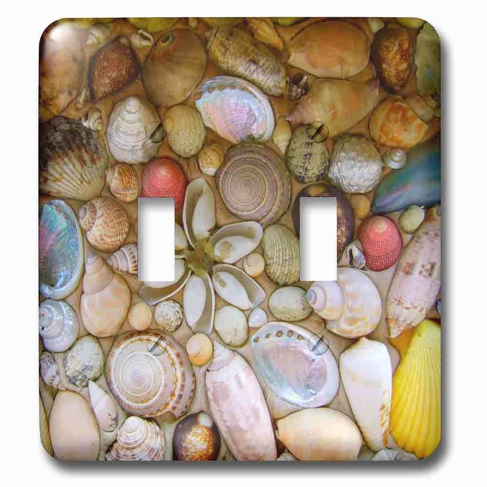 Double Toggle Wallplate With Seashells Photography Colorful Sea Shells Pattern Sea Ocean Seaside Nautical Beach Feel Decor