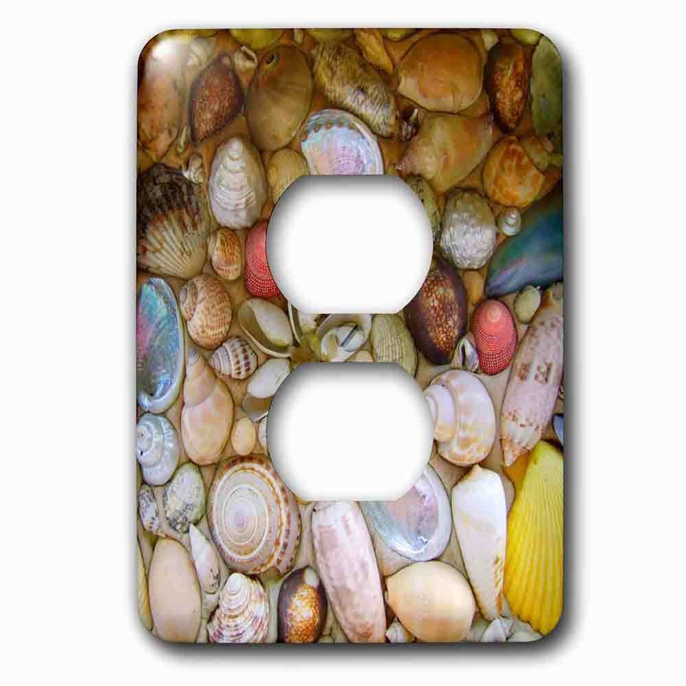 Single Duplex Outlet With Seashells Photography Colorful Sea Shells Pattern Sea Ocean Seaside Nautical Beach Feel Decor