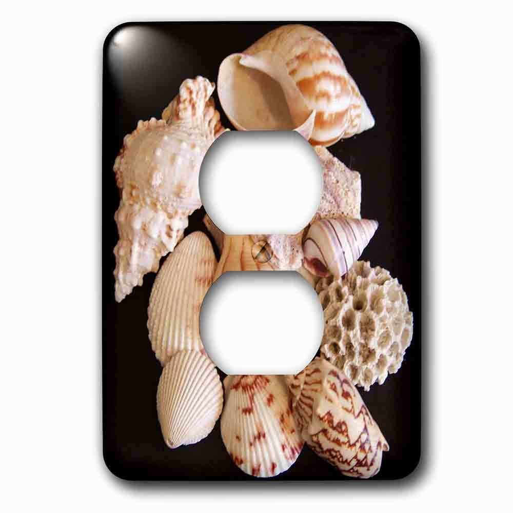 Single Duplex Outlet With Seashells On Black