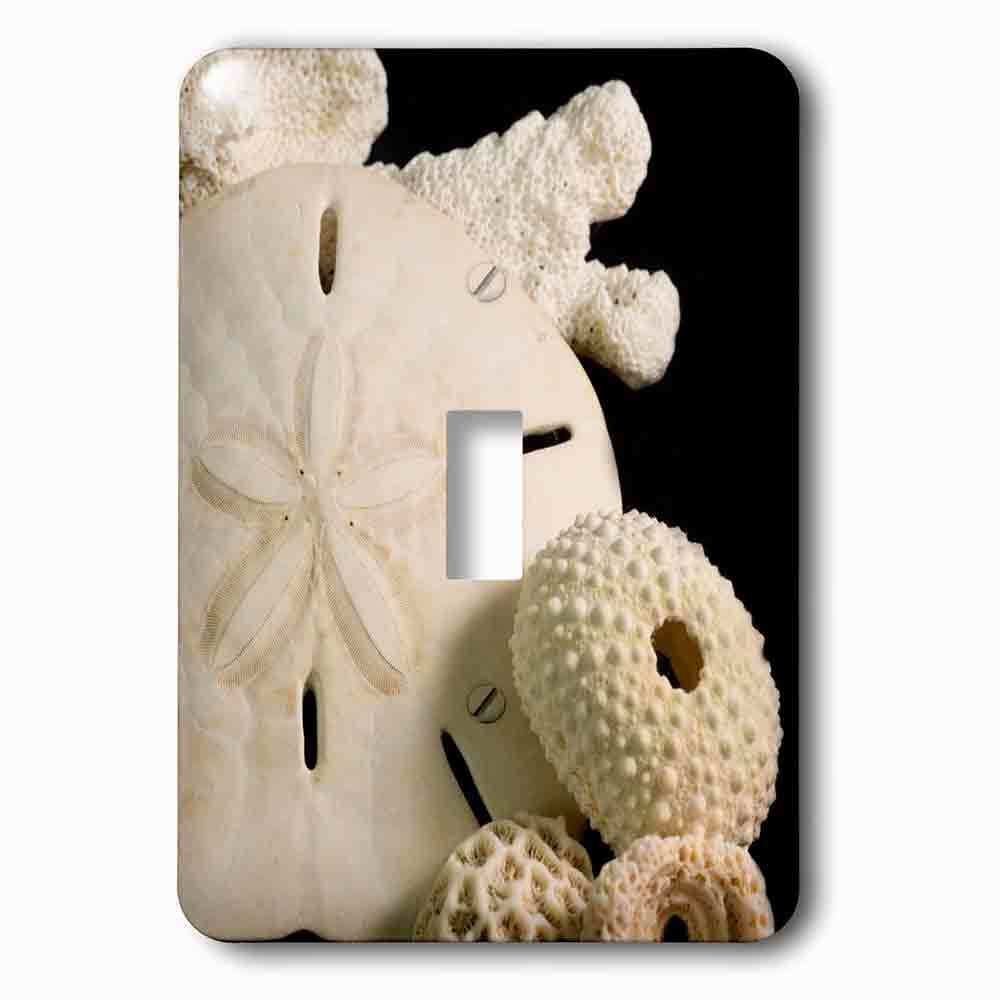Single Toggle Wallplate With White Seashells, Sand Dollar, And Coral From Around The World.