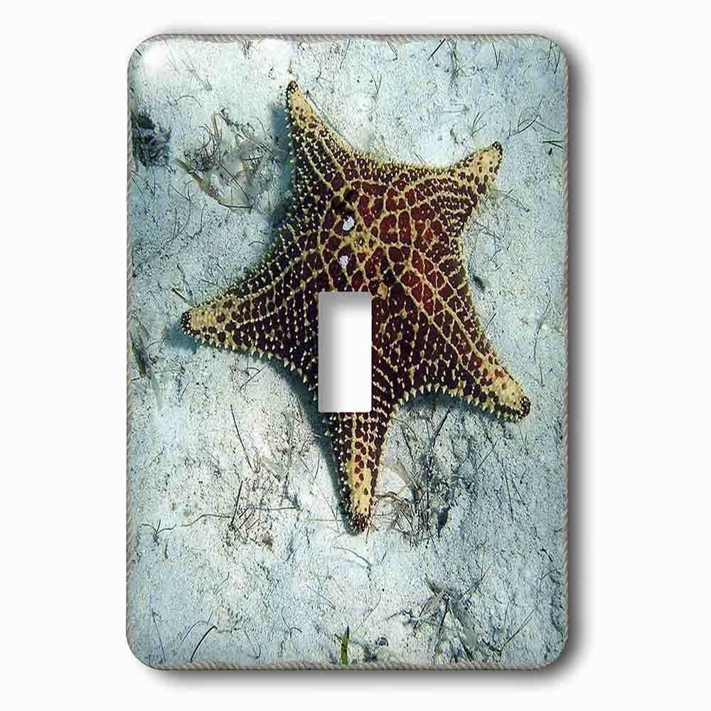 Single Toggle Wallplate With Underwater Starfish With Nautical Rope Frame