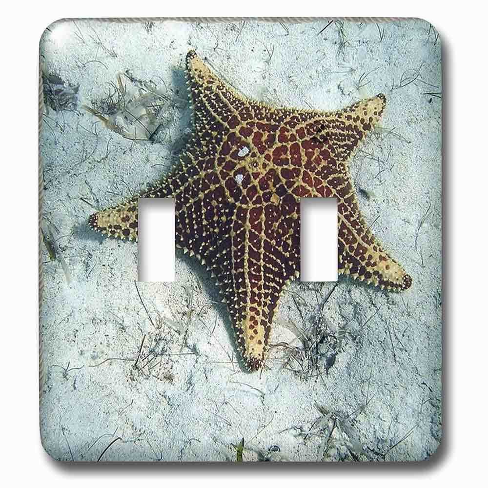 Double Toggle Wallplate With Underwater Starfish With Nautical Rope Frame