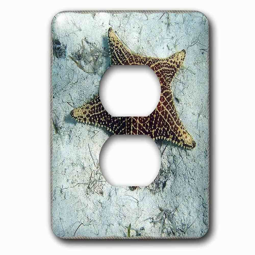 Single Duplex Outlet With Underwater Starfish With Nautical Rope Frame