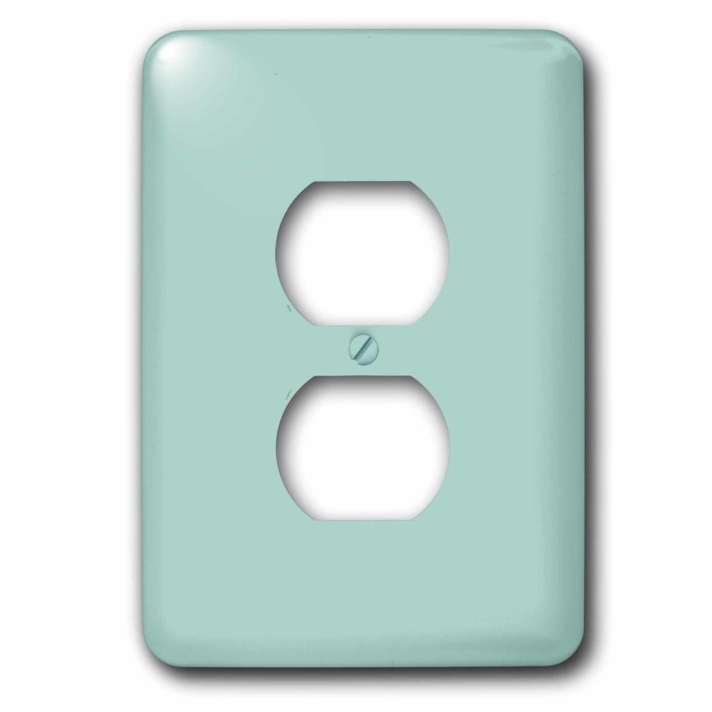 Single Duplex Switch Plate With Plain Mint Blue