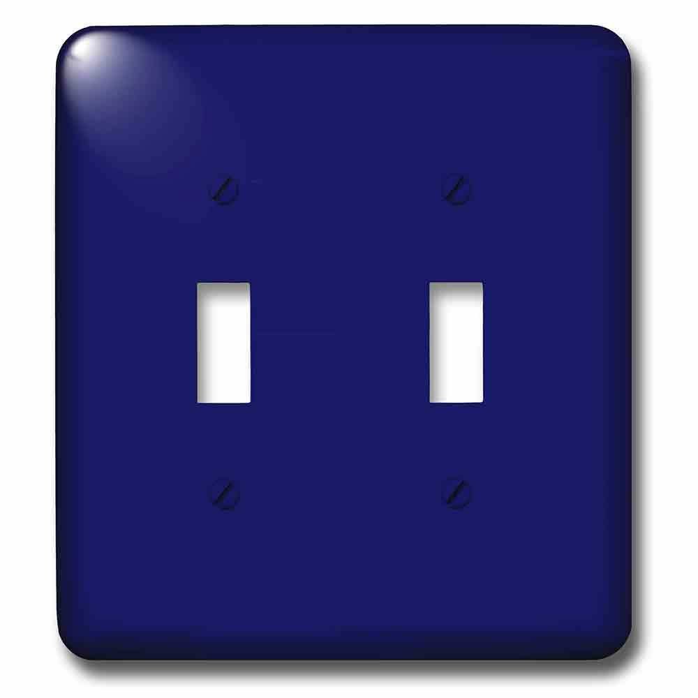 Double Toggle Wallplate With Navy Blue
