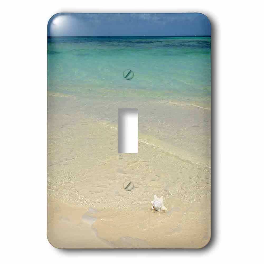 Single Toggle Wall Plate With Conch Shell On The Beach At Bones Bight