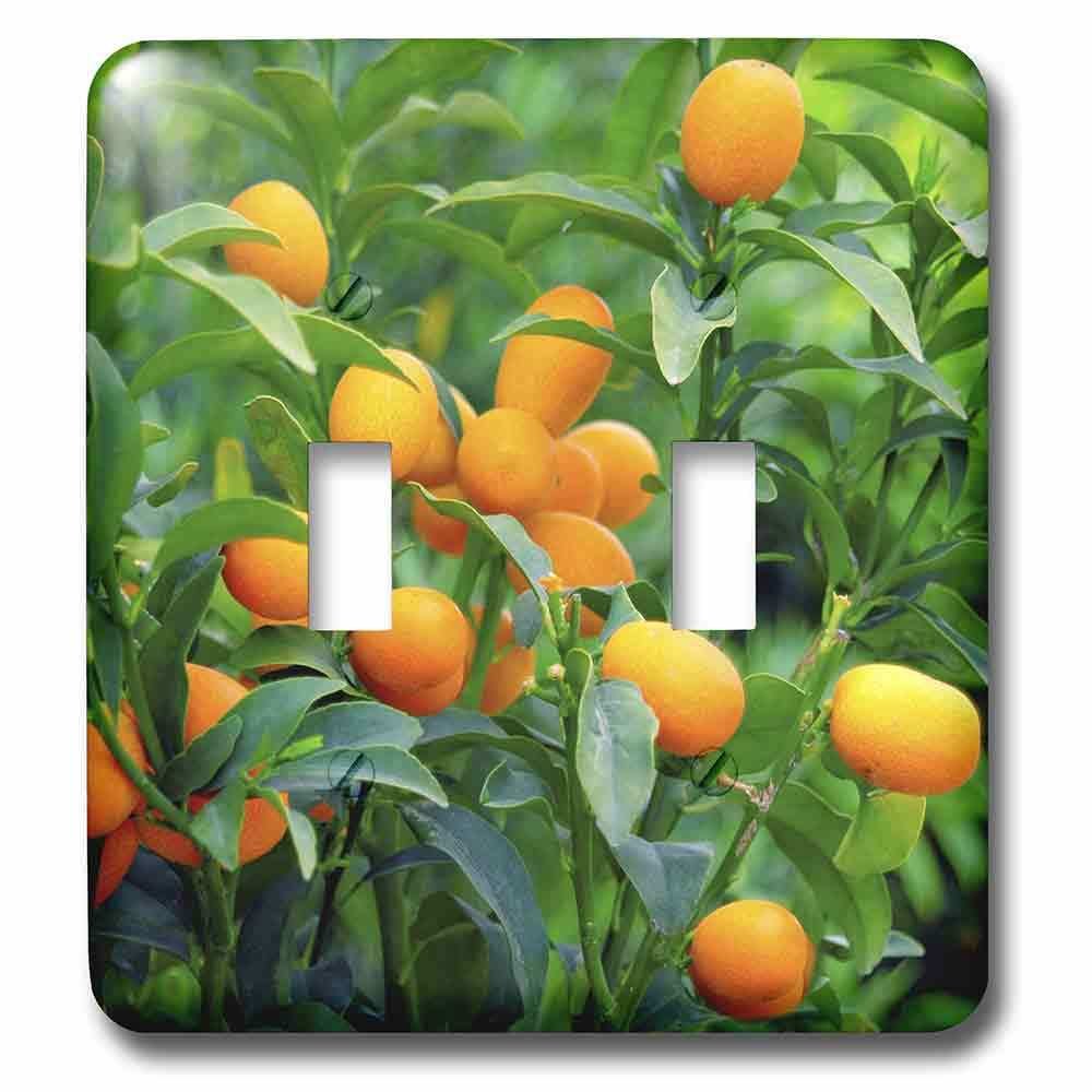Double Toggle Wallplate With Kumquat Fruit Tree