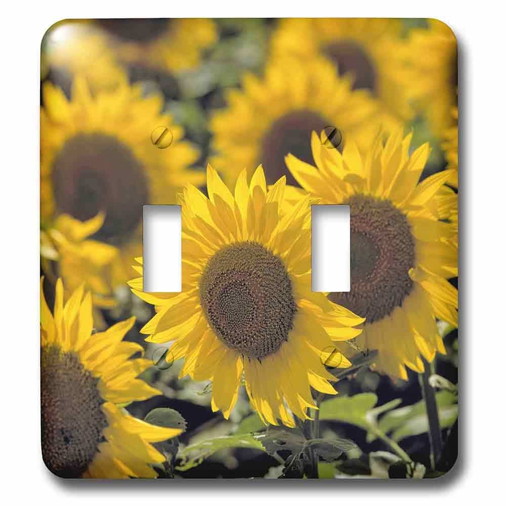 Double Toggle Wallplate With Sunflowers In Cass County