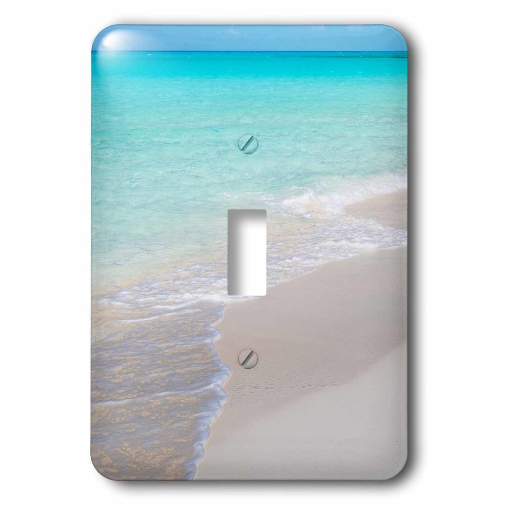 Single Toggle Wallplate With Ocean Surf And Beach.