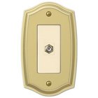 Single Cable Wallplate in Polished Brass