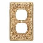 Single Outlet Jumbo Switchplate in Polished Gold