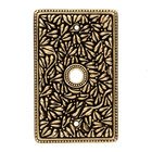 Single Cable Jumbo Switchplate in Antique Gold