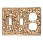Double Toggle Single Outlet Combo Jumbo Switchplate in Polished Gold